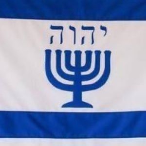 Meet your Posher, Elena